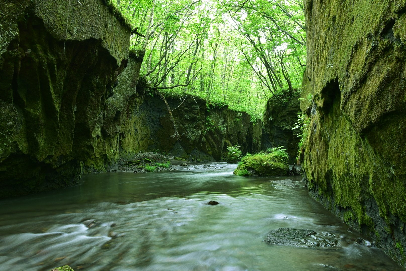 🏞️ 다루마에 협곡(타루마에 가로) 이미지 6